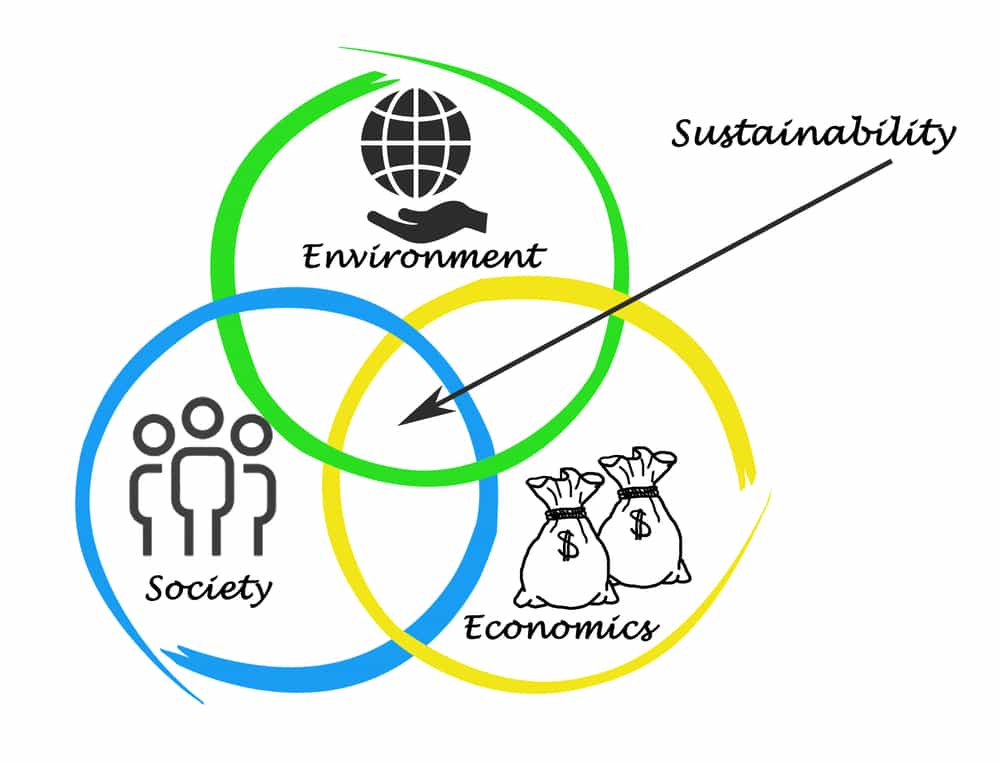 Sustainable Software Solutions for Modern Enterprises