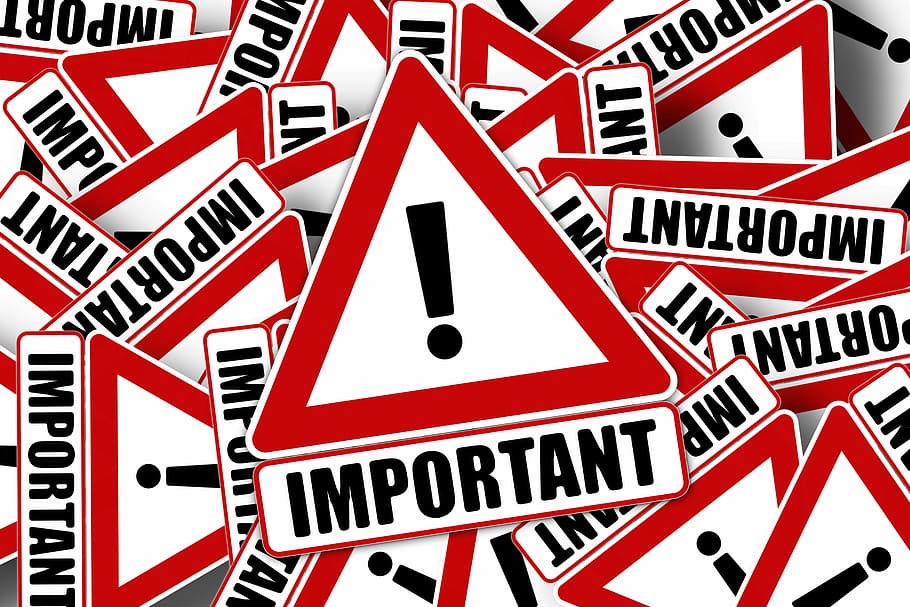 The Importance of User Reviews in Driving Tech Purchases